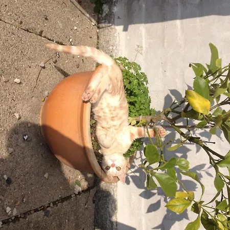 Kildegaarden * Frorup