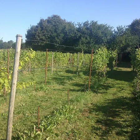 Kildegaarden Frühstückspension Frorup