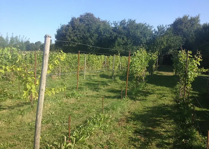 Kildegaarden Отель типа 