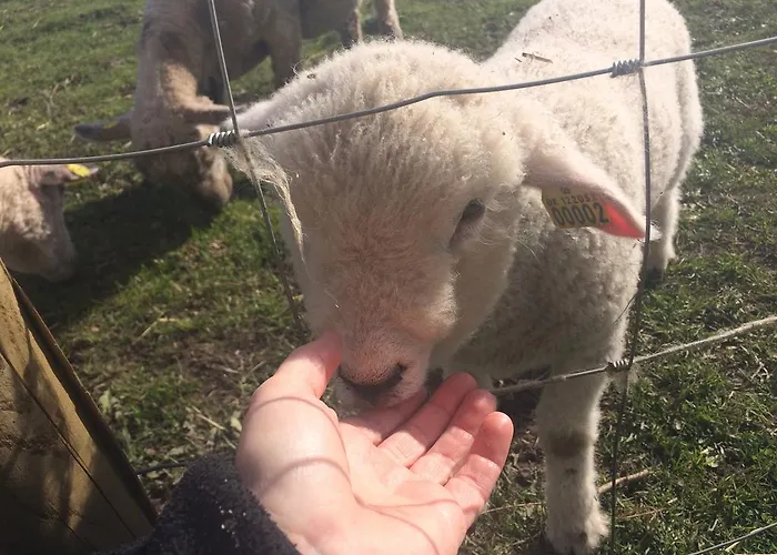 Couette-café Kildegaarden *